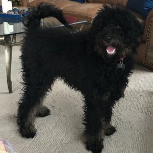 Meet your Posher, Sara